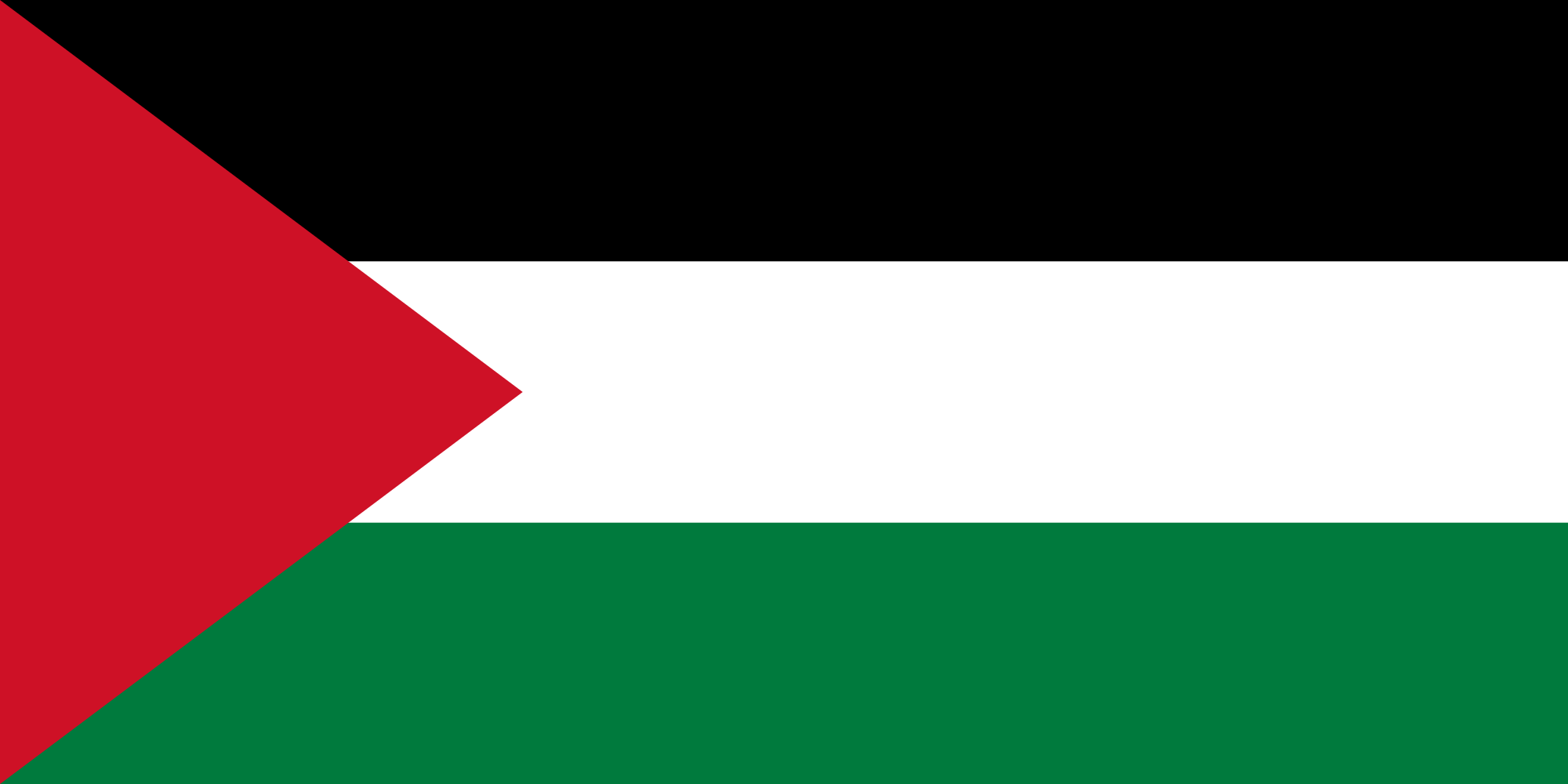 Image result for flags of Palestine